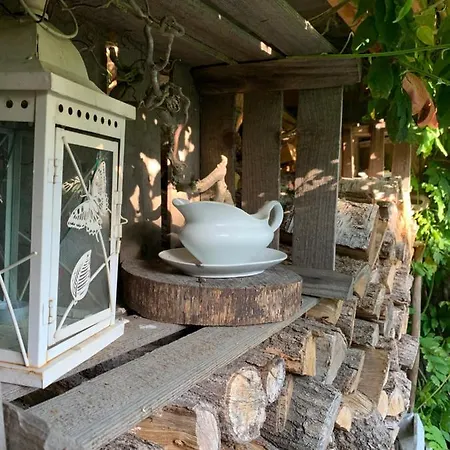 Ferienwohnung Mit Kamin Und Gartenblick Alt Suhrkow